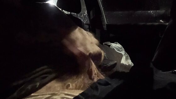 monster cock youporn cumshot in car